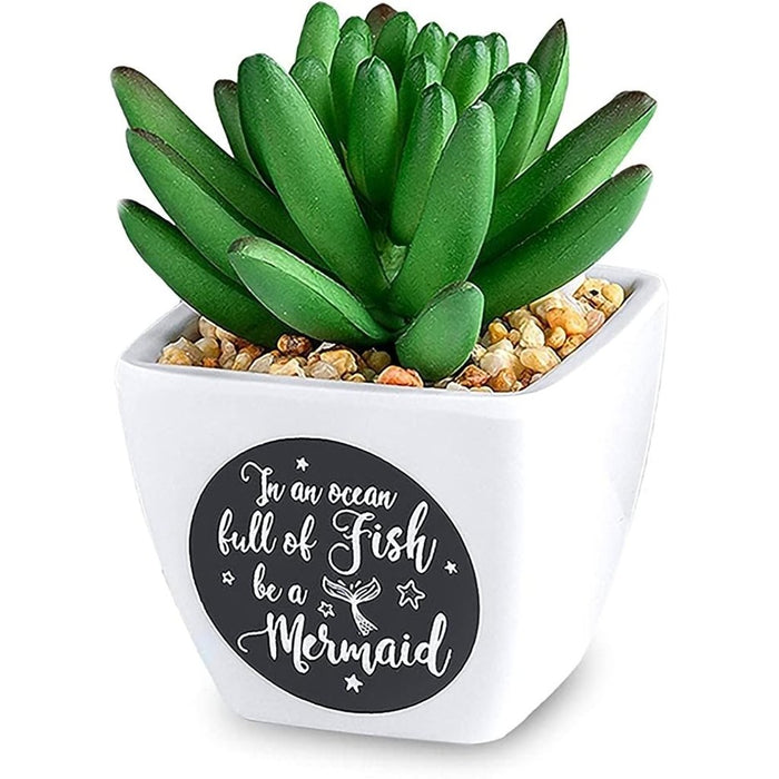 H & H Gifts : Sentiment Succulent - In an Ocean Full of Fish be a Mermaid - H & H Gifts : Sentiment Succulent - In an Ocean Full of Fish be a Mermaid