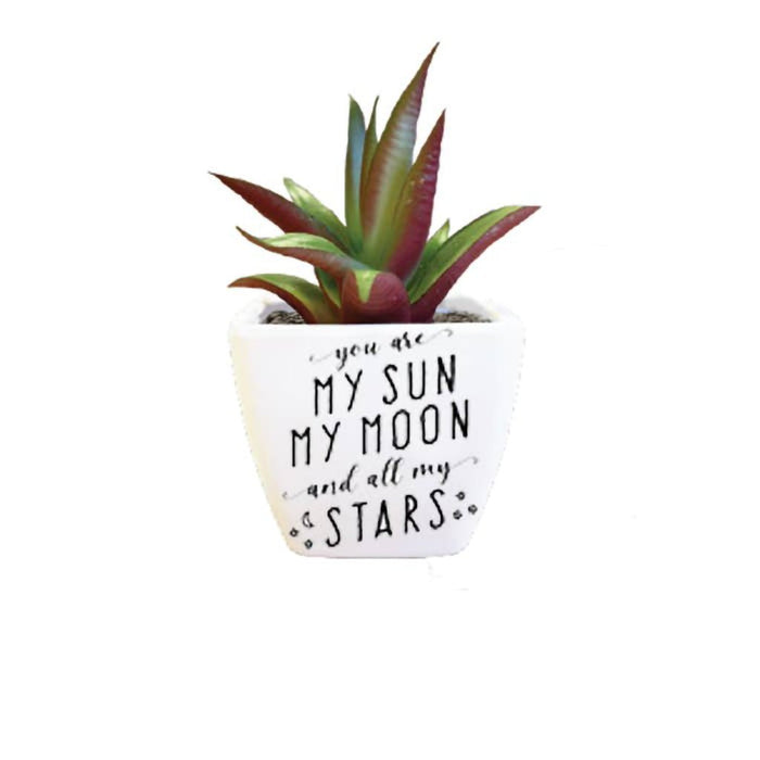 H & H Gifts : Sentiment Succulent - You Are My Sun My Moon and My Stars - H & H Gifts : Sentiment Succulent - You Are My Sun My Moon and My Stars