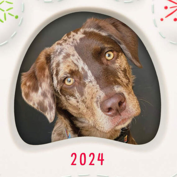 Hallmark : 2024 Keepsake Ornament Happy Dog 2024 Porcelain Photo Frame Ornament (135) - Hallmark : 2024 Keepsake Ornament Happy Dog 2024 Porcelain Photo Frame Ornament (135)