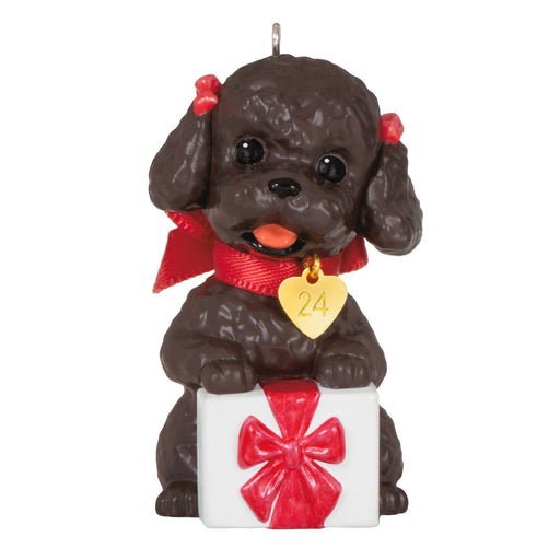 Hallmark : 2024 Keepsake Ornament Puppy Love Poodle (251) - Hallmark : 2024 Keepsake Ornament Puppy Love Poodle (251)