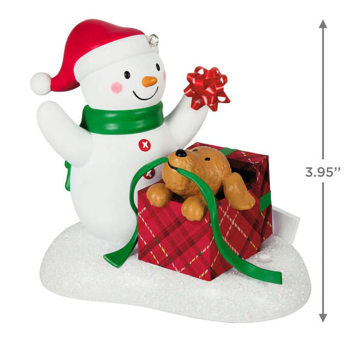 Hallmark : 2024 Keepsake Ornament Wrapped Up In Christmas Musical (388) - Hallmark : 2024 Keepsake Ornament Wrapped Up In Christmas Musical (388)