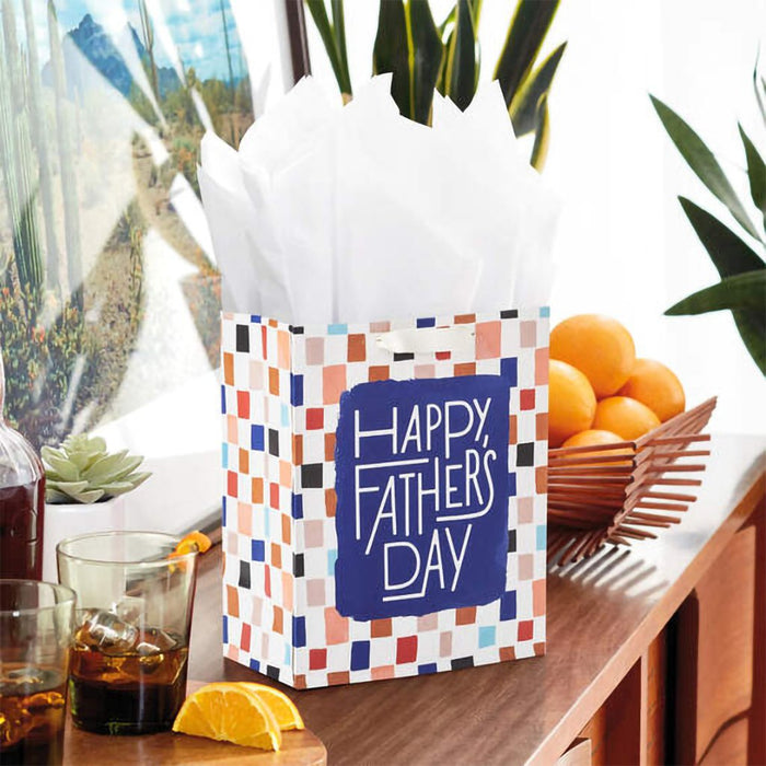 Hallmark : 9.6" Colorful Checkerboard Medium Father's Day Gift Bag With Tissue Paper - Hallmark : 9.6" Colorful Checkerboard Medium Father's Day Gift Bag With Tissue Paper