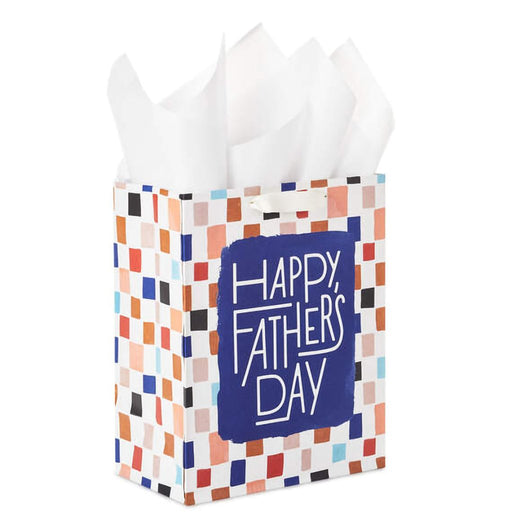 Hallmark : 9.6" Colorful Checkerboard Medium Father's Day Gift Bag With Tissue Paper - Hallmark : 9.6" Colorful Checkerboard Medium Father's Day Gift Bag With Tissue Paper