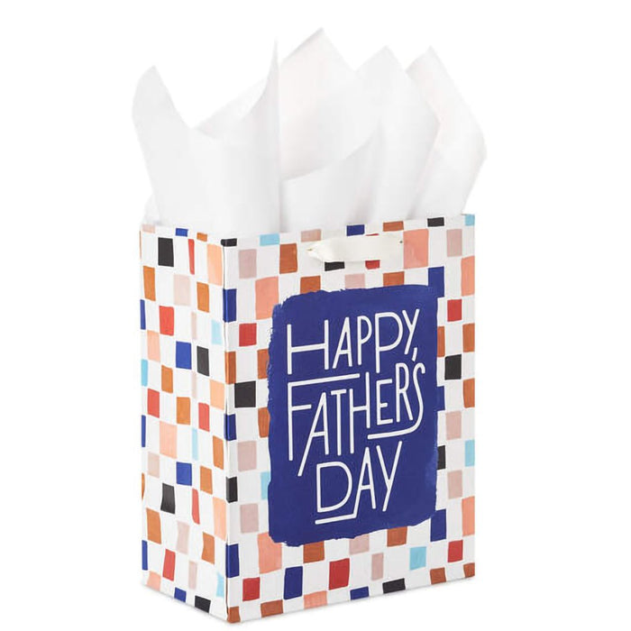 Hallmark : 9.6" Colorful Checkerboard Medium Father's Day Gift Bag With Tissue Paper - Hallmark : 9.6" Colorful Checkerboard Medium Father's Day Gift Bag With Tissue Paper