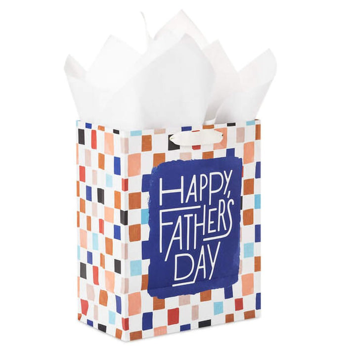 Hallmark : 9.6" Colorful Checkerboard Medium Father's Day Gift Bag With Tissue Paper - Hallmark : 9.6" Colorful Checkerboard Medium Father's Day Gift Bag With Tissue Paper