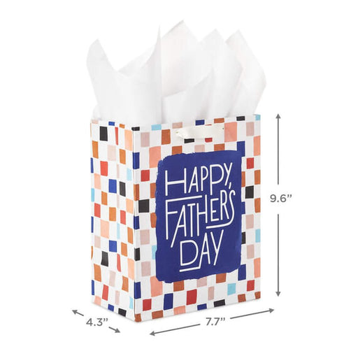 Hallmark : 9.6" Colorful Checkerboard Medium Father's Day Gift Bag With Tissue Paper - Hallmark : 9.6" Colorful Checkerboard Medium Father's Day Gift Bag With Tissue Paper