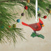 Hallmark : Cardinal Bird Hallmark Ornament - Hallmark : Cardinal Bird Hallmark Ornament