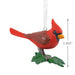 Hallmark : Cardinal Bird Hallmark Ornament - Hallmark : Cardinal Bird Hallmark Ornament