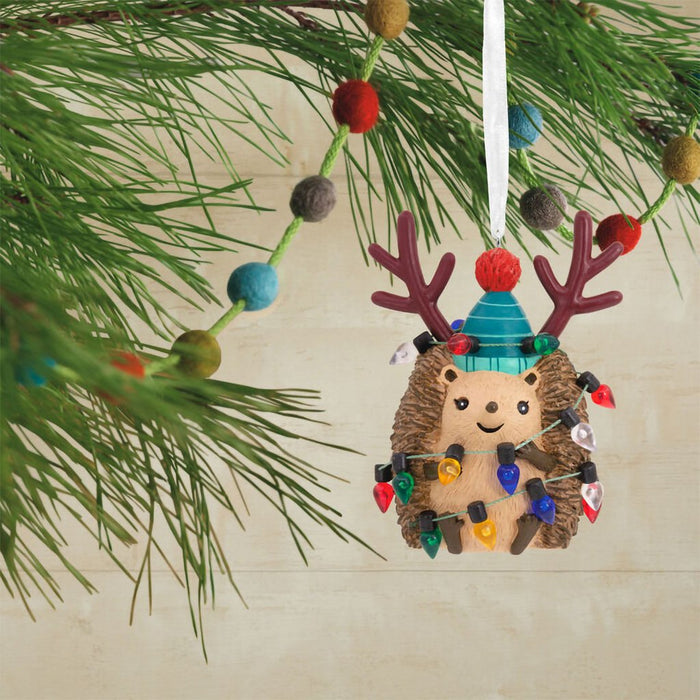 Hallmark : Festive Hedgehog Hallmark Ornament - Hallmark : Festive Hedgehog Hallmark Ornament