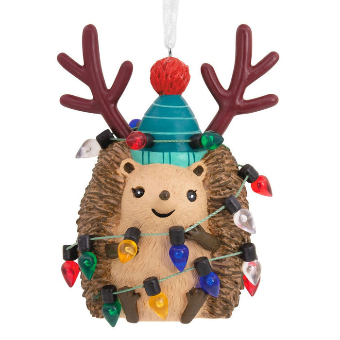 Hallmark : Festive Hedgehog Hallmark Ornament - Hallmark : Festive Hedgehog Hallmark Ornament