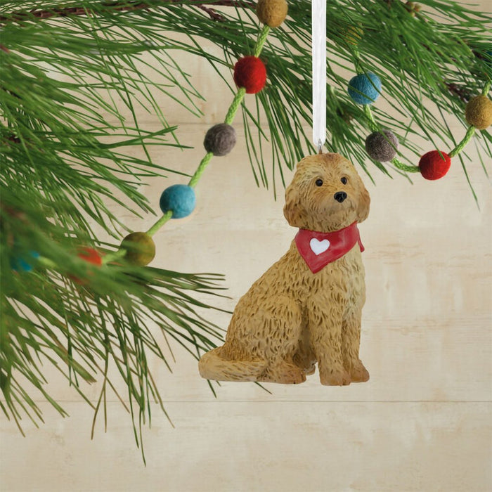 Hallmark : Goldendoodle Hallmark Ornament - Hallmark : Goldendoodle Hallmark Ornament