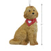 Hallmark : Goldendoodle Hallmark Ornament - Hallmark : Goldendoodle Hallmark Ornament