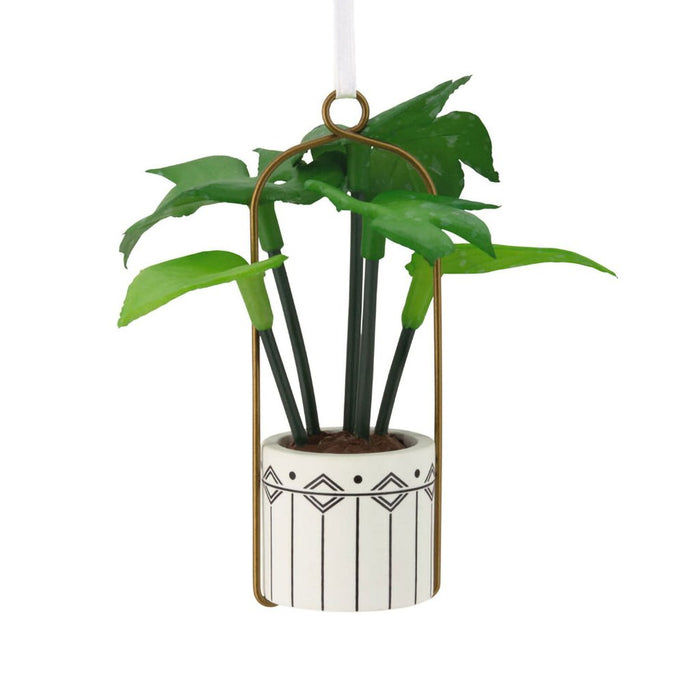 Hallmark : Hanging Houseplant Hallmark Ornament - Hallmark : Hanging Houseplant Hallmark Ornament