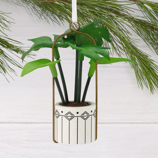 Hallmark : Hanging Houseplant Hallmark Ornament - Hallmark : Hanging Houseplant Hallmark Ornament