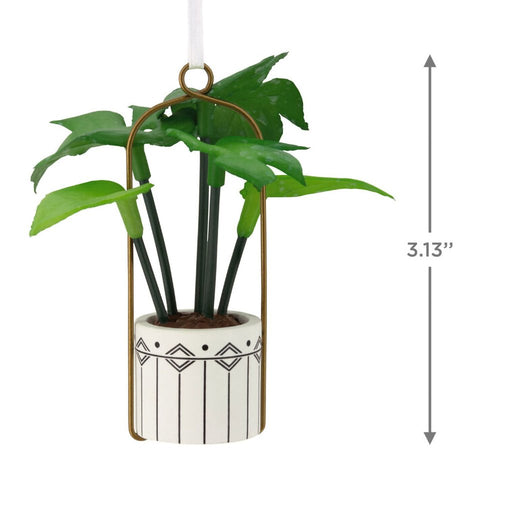 Hallmark : Hanging Houseplant Hallmark Ornament - Hallmark : Hanging Houseplant Hallmark Ornament