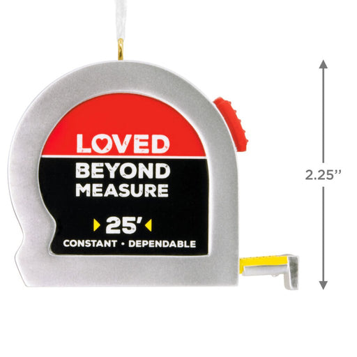 Hallmark : Loved Beyond Measure Hallmark Ornament - Hallmark : Loved Beyond Measure Hallmark Ornament