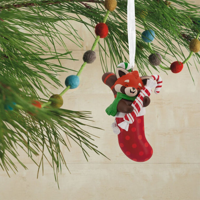 Hallmark : Red Panda in Stocking Hallmark Ornament - Hallmark : Red Panda in Stocking Hallmark Ornament