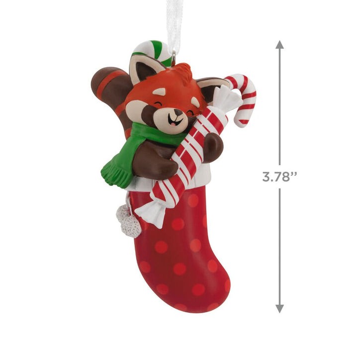 Hallmark : Red Panda in Stocking Hallmark Ornament - Hallmark : Red Panda in Stocking Hallmark Ornament