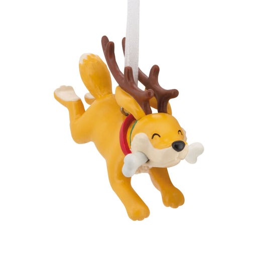 Hallmark : Reindeer Dog With Bone Hallmark Ornament - Hallmark : Reindeer Dog With Bone Hallmark Ornament