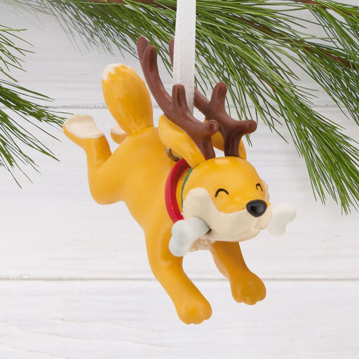 Hallmark : Reindeer Dog With Bone Hallmark Ornament - Hallmark : Reindeer Dog With Bone Hallmark Ornament