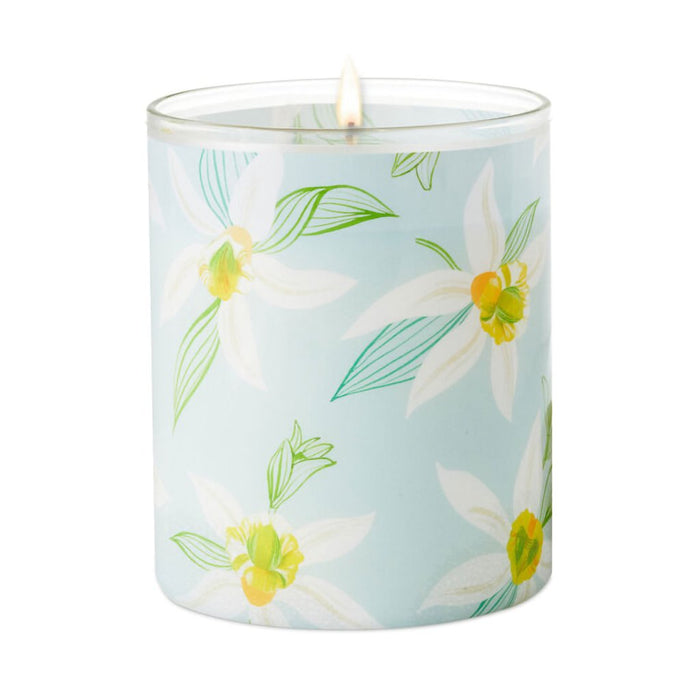 Hallmark : Salted Vanilla and Sandalwood Scented 2 - Wick Jar Candle, 14.5 oz. - Hallmark : Salted Vanilla and Sandalwood Scented 2 - Wick Jar Candle, 14.5 oz.