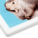Hallmark : Singing Squirrel Photo Funny Coaster - Hallmark : Singing Squirrel Photo Funny Coaster