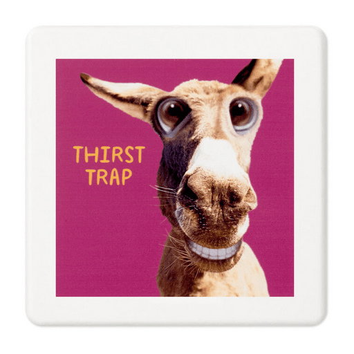 Hallmark : Smiling Donkey Photo Funny Coaster - Hallmark : Smiling Donkey Photo Funny Coaster