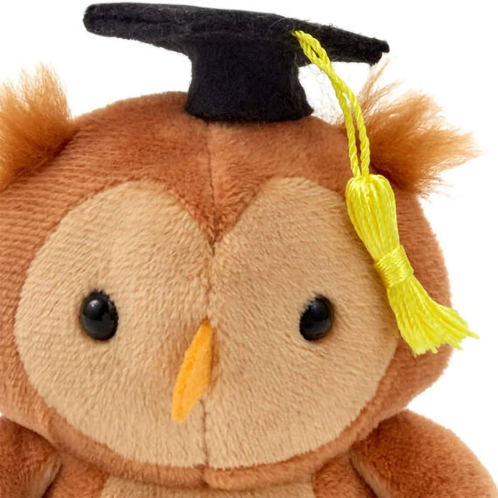 Hallmark : Wise Owl Plush Graduation Gift Card Holder, 4.75" - Hallmark : Wise Owl Plush Graduation Gift Card Holder, 4.75"