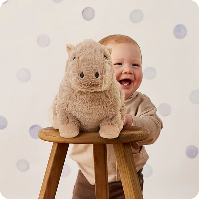 Warmies : Capybara Warmies