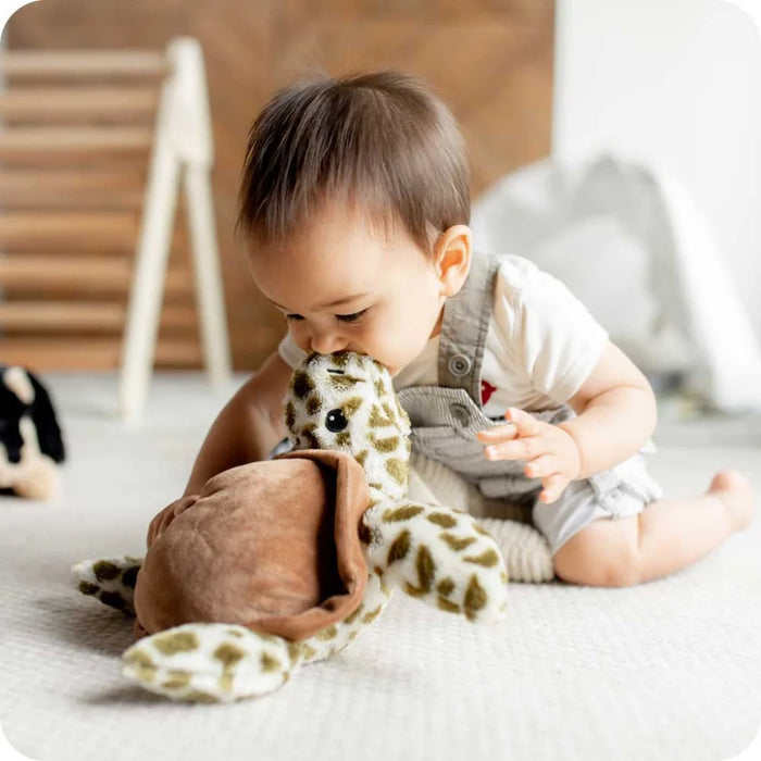 Warmies : Turtle Warmies with baby giving kiss