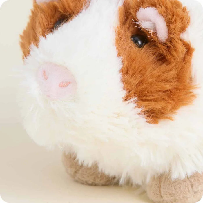 Warmies : Guinea Pig Warmies Junior face up close