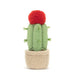 Jellycat : Amuseable Moon Cactus - Jellycat : Amuseable Moon Cactus