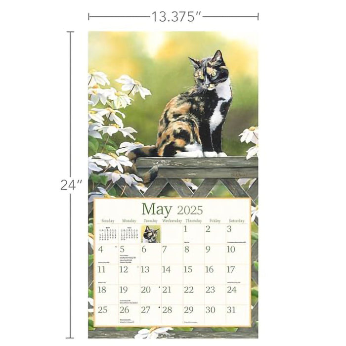 Lang : Cats in the Country by Susan Bourdet 2025 Wall Calendar - Lang : Cats in the Country by Susan Bourdet 2025 Wall Calendar