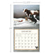 Lang : Cows Cows Cows by Lowell Herrero 2025 Wall Calendar - Lang : Cows Cows Cows by Lowell Herrero 2025 Wall Calendar