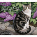 Lang : Love Of Cats 2025 Wall Calendar - Lang : Love Of Cats 2025 Wall Calendar