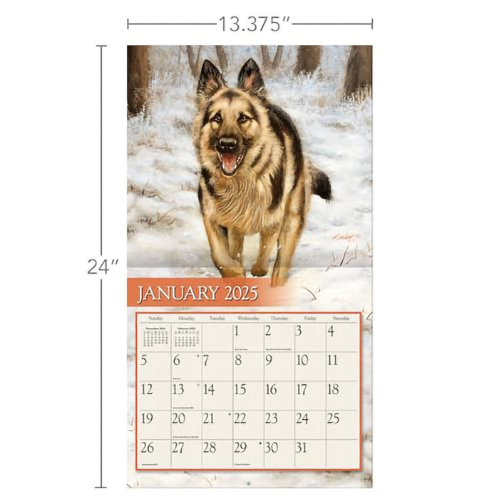 Lang : Love of Dogs by John Silver 2025 Wall Calendar - Lang : Love of Dogs by John Silver 2025 Wall Calendar