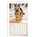 Lang : Love of Dogs by John Silver 2025 Wall Calendar - Lang : Love of Dogs by John Silver 2025 Wall Calendar