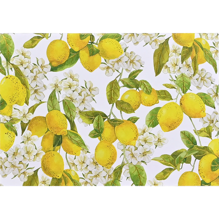 Peter Pauper Press : Amalfi Lemons Note Cards