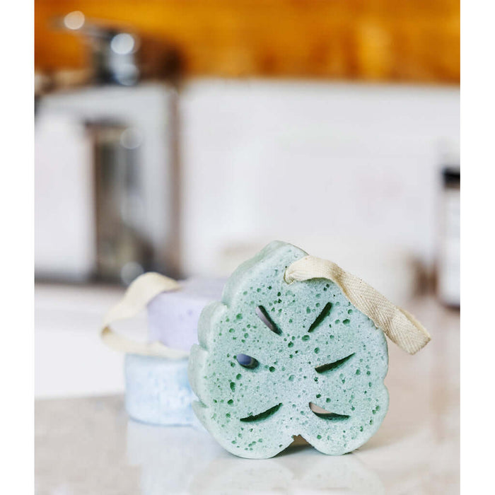 DM Merchandising : Lemon Lavender In The Buff Super Sudsy Soap Sponge - Assorted by Color