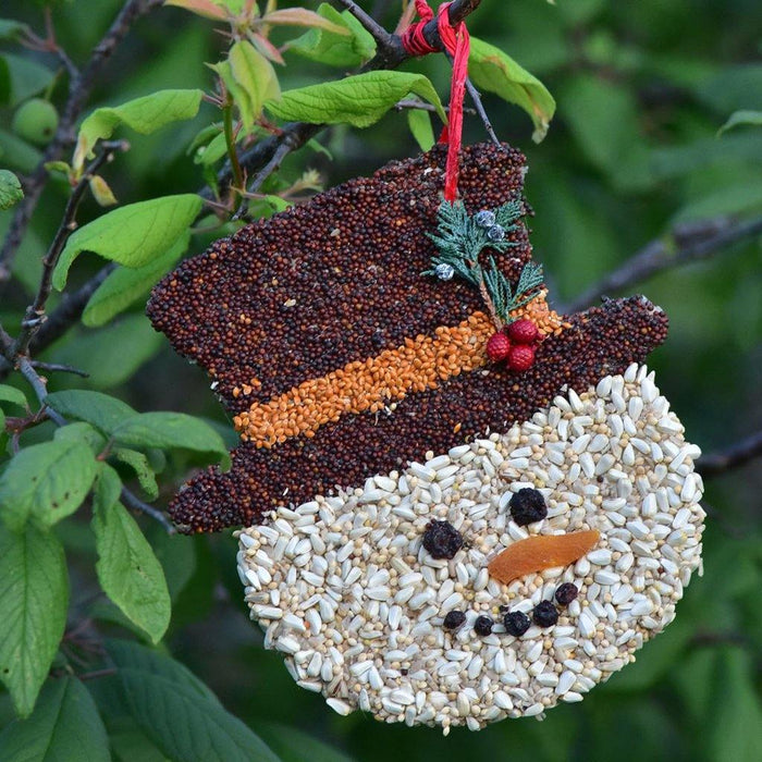 Mr. Bird : Frosty Christmas Cookie - Mr. Bird : Frosty Christmas Cookie - Annies Hallmark and Gretchens Hallmark, Sister Stores