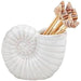 Mud Pie : Nautilus Conch Shell Toothpick Holder - Mud Pie : Nautilus Conch Shell Toothpick Holder