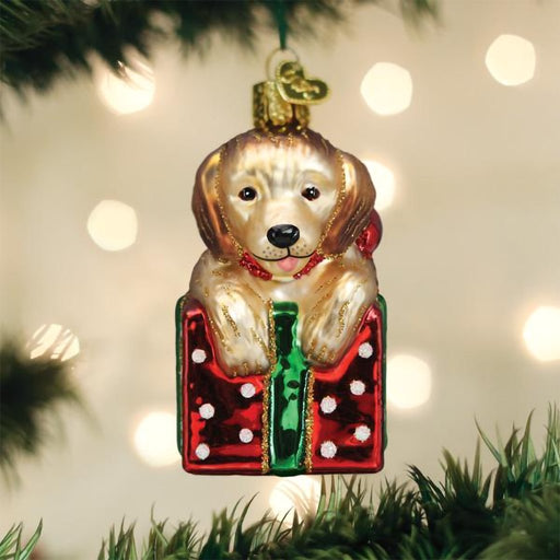 Old World Christmas : Golden Puppy Surprise Ornament - Old World Christmas : Golden Puppy Surprise Ornament