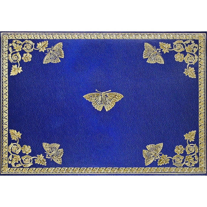 Peter Pauper Press : Note Cards - Gilded Butterflies - Peter Pauper Press : Note Cards - Gilded Butterflies