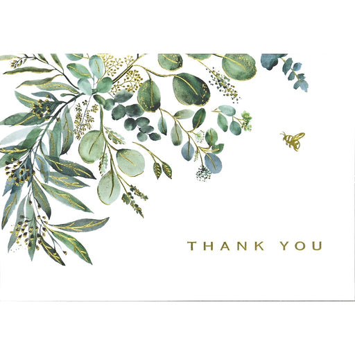 Peter Pauper Press : Thank You Notes - Eucalyptus - Peter Pauper Press : Thank You Notes - Eucalyptus