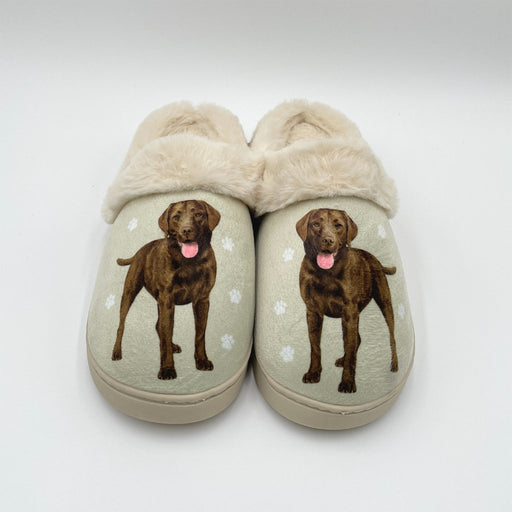 Snuggs : Labrador Chocolate - Slippers - Snuggs : Labrador Chocolate - Slippers