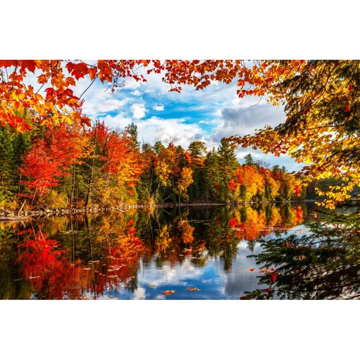 Springbok : Autumn Lake 500 Piece Jigsaw Puzzle - Springbok : Autumn Lake 500 Piece Jigsaw Puzzle