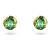 Swarovski : Chroma Stud Earrings in Green - Pear Cut, Gold - Swarovski : Chroma Stud Earrings in Green - Pear Cut, Gold