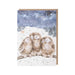 Three Wise Men Owl Advent Calendar Card featuring three festive owls in a Christmas design