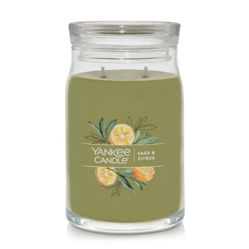 Yankee Candle Signature Large Jar Candle in Sage & Citrus with green wax and citrus botanical label
