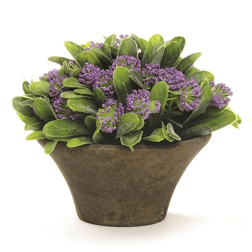 Blossom Bucket : Purple Flowers In A Short Dark Gray Pot -